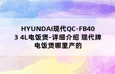 HYUNDAI现代QC-FB403 4L电饭煲-详细介绍 现代牌电饭煲哪里产的